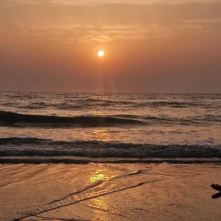 Mobil Climatise 4-6 Personnes Dağ evi Sainte-Eulalie-en-Born